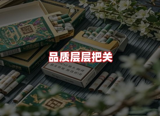 专业团队